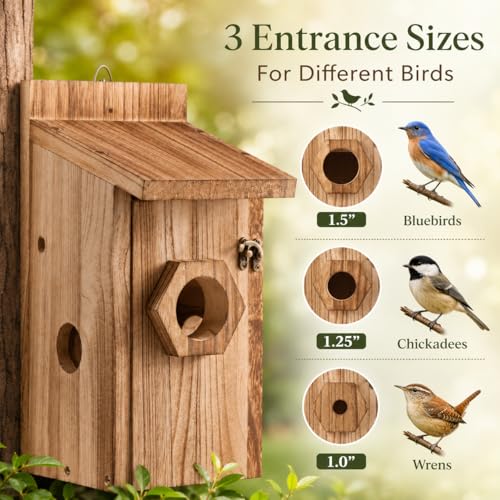 Bird House for Outside Hanging, Wooden Bluebird House with 3 Entrance Hole Sizes, Easy Clean Outdoor Birdhouse for Bluebirds Wrens Chickadees Finch Swallow, Ventilated Cedar Nesting Box - style: 1 Pack