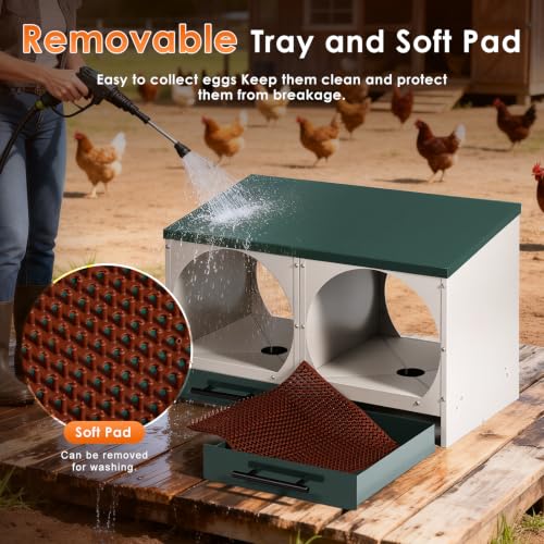 Chicken Nesting Box Roll Away Nest Boxes for Laying Hens 2 Compartments | Metal Nest Box for Chickens with Egg Collection Drawer & Lid Wall-Mounted Chicken Laying Boxes Perfect for Backyard and Farms