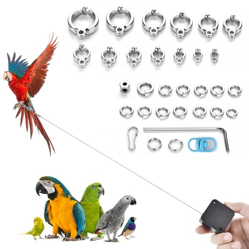6.6Ft Bird Leash, with 13 Different Size Foot Ring Retractable Anti-Bite Parrot Harness, Bird Flight Training Rope for Budgies,Cockatiels,Psittacula Longicauda,Mini Macaws （Silver Ankle Bracelet） - color: Silver ankle bracelet