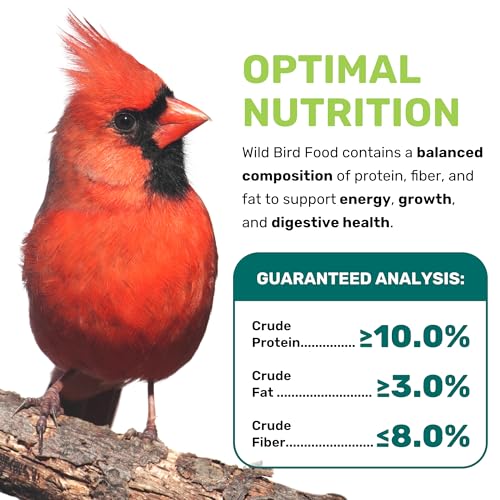 Wild Bird Seed 5 Lbs, Premium Mixed Wild Birdseeds, Nut Free Mix Feed, Nutrient-Rich Birdseeds, Supports Daily Energy Growth & Healthy Balanced Diet, Bird Seed for Outside Feeders