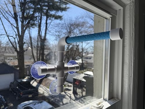 CleanPerch™ Window Bird Perch with Suction Cups. Grooming & Outside Viewing Perch for Parrots, Conures & Small Birds. Window-Mounted Bird Stand (White/Blue, 6") - color: Blue, size: 6"