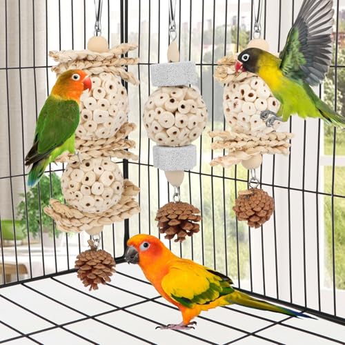Wontee Bird Toys 3 Pack Parrot Foraging Hanging Toys Sola Ball Natural Nuts Chew Toys for Cockatiels Conures Parakeets Budgies Senegal (3 Pack) - size: 3 Pack