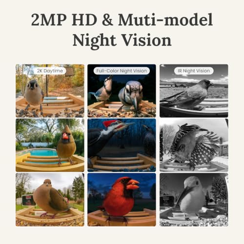 NETVUE by Birdfy Bamboo Feeder with Camera, Solar Powered, 2K Live Stream, AI Bird Identification, Motion Detection, Wooden Bird Feeder for Birdwatching, for Bird Lovers - style: AI 7 Day Trial