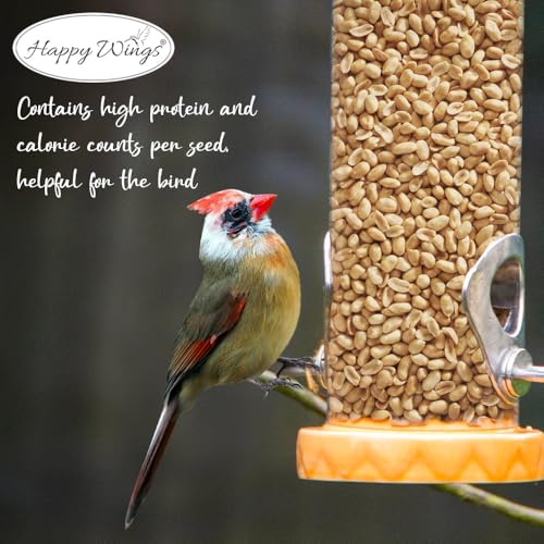 Happy Wings 10LB Shelled Peanuts Bird Food, No Grow Seeds, 100% Edible | High in Oil & Protein, High Energy Content, No Waste Bird Seeds, Heat Treated at Optimum Temperature, USDA & BRC-GS Approved - size: 5 Pound (Pack of 2)