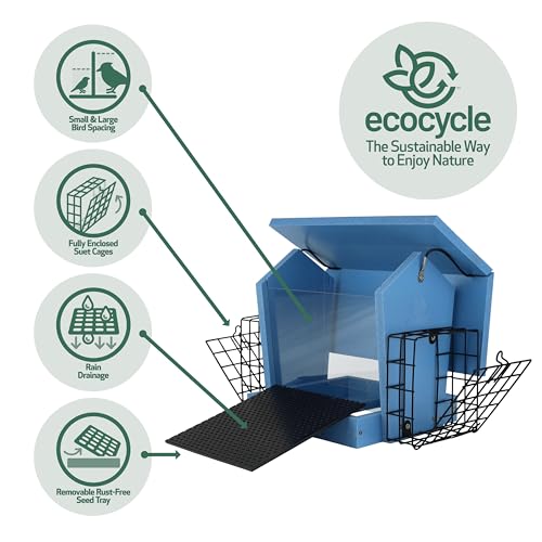 Hopper Hangout Recycled Plastic Hopper Bird Feeder with Latching Suet Cages & Fresh Seed Tray for Wild Birds and Outdoor Décor, 3 Quart Capacity, 2 Suet Cake, Blue