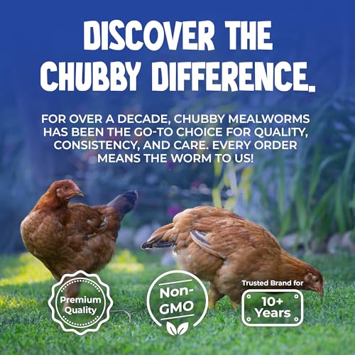 Chubby North American Grown Dried Mealworms, 20 lbs | Non-GMO High-Protein Treats for Chickens, Ducks & Wild Birds – Sustainable Chicken Feed - size: 20 Pound (Pack of 2)