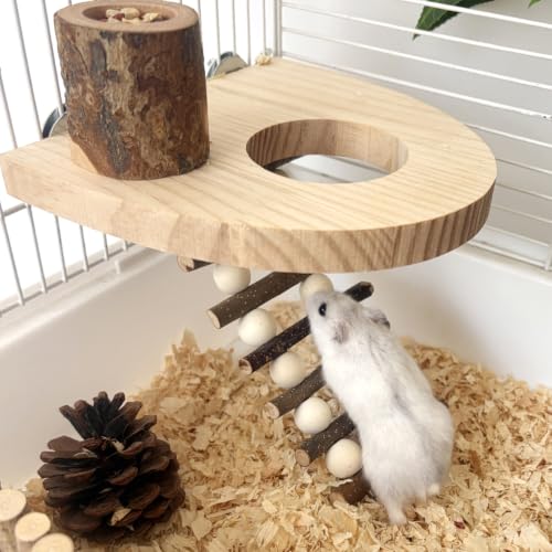 Climbing Toys for Hamster and Small Parrot, Natural Apple Wood Playing Toys | Cage Accessories for Guinea Pig, Gerbils, Chinchillas, Rats, Parakeets, Conures, Syrian, Bird, Mice