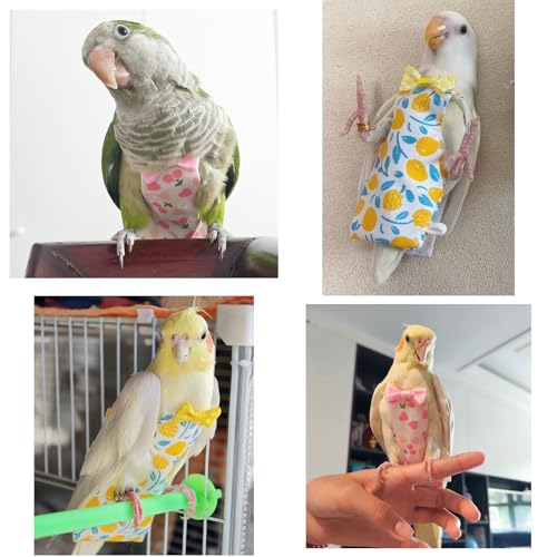Bird Diaper Flight Suit, 3-Packs Lightweight Reusable Washable Elastic-Straps Parrot Clothes for Peony/Monk Parakeet, Prevents Poop Leaks & Feather Pecking (Bow+Lemon+Cherry, M) - color: Bow+Lemon+Cherry, size: M