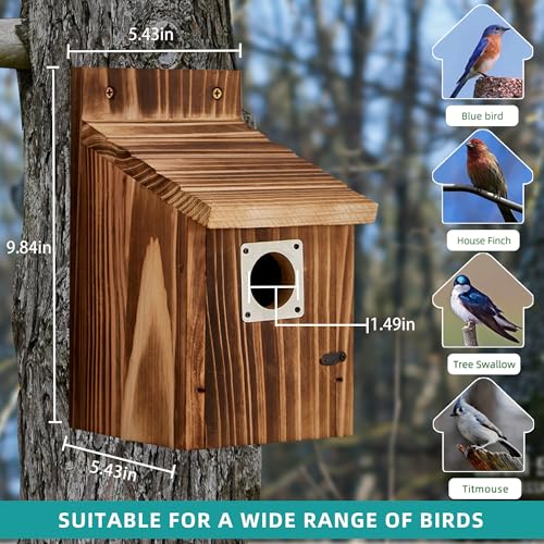 2 Pack Bird Houses for Outside, Outdoors Birdhouse Feeder for Bluebird,Cardinal,Purple Martin and Sparrow,Wooden Cedar Hanging Birds Nest,Easy to Clean,No Assembly Needed - style: Box