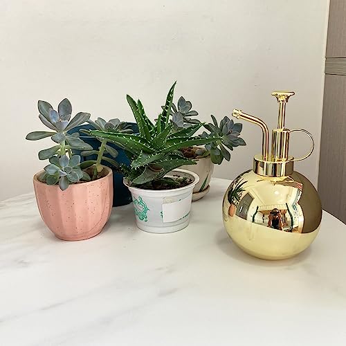 Stainless Steel Plant Sprayer, Small Watering Can, Modern Gardening Tool for Indoor Potted Plants, Gold Color - color: 17oz/Gold color