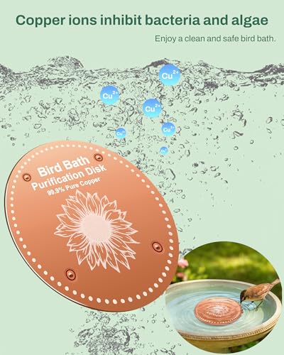 OICEME Bird Bath Purification Disk Pure Copper Outside Winter Solar Power Birdbath Hummingbird Bee Water Fountain Window Feeder Stand Nectar Food Pole House Hanging Birdhouse Small Large Accessories - color: Copper 2PCS Flowers