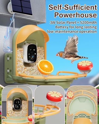 Bird Feeder with Camera, Bird Bath, Solar Powered, 2K HD, Wireless | Enjoy crisp 2K video, AI bird recognition, solar charging, bird bath design, night vision and instant app motion alerts. - color: Light Green, size: With BirdBath
