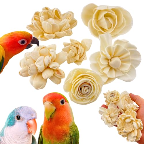 Bonka Bird Toys 3604 PK6 Sola Flower Foot Talon Craft Part Bird Toy Natural Foraging Chew Health Treat for Small to Medium Sized Birds and Other Small Pets