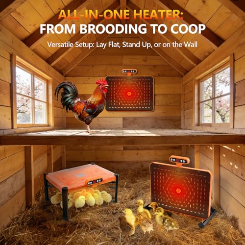 11 x 15 Chick Brooder Plate & Chicken Coop Heater, Smart Display | Temperature Display, Adjustable Height, Memory Function, Overheat Protection for Safety, 150W Energy Efficient
