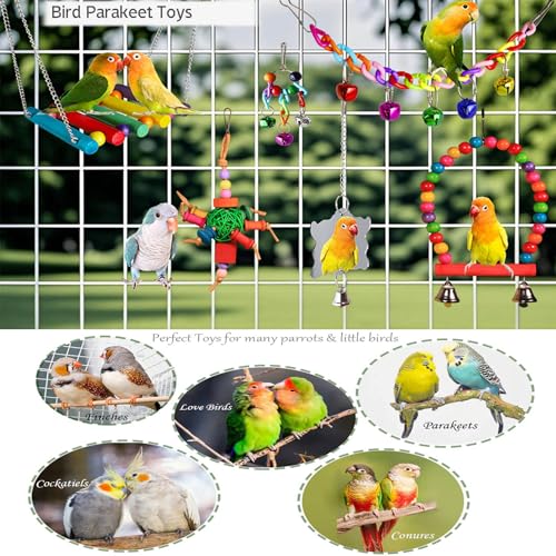 8 Pcs Parakeet Cockatiel Bird Toys, Parrots Conures Budgies Cage Accessories