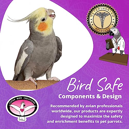 Super Bird Creations Sure-Grip Grooming Perch, Medium