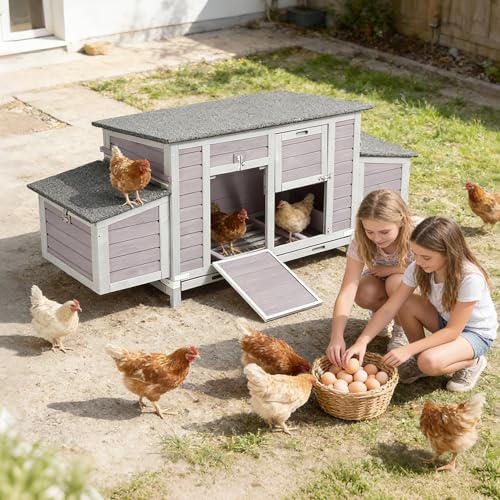 Aivituvin Large Chicken Coop for 4-6 Chickens, Reinforced Outdoor Wooden Hen House with 4 Sectionable Nesting Box, Easy Clean Pull-Out Tray, Waterproof Asphalt Roof - Grey, 67.3"L x 25.4"W x 28.1"H - size: 67.3"L x 25.4"W x 28.1"H