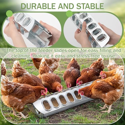 Potchen 2 Pcs Slide-top Poultry Feeder Durable Galvanized Metal Chicken Feeder Trough with Removable Top Trough Multi-Hole Tray for Pigeon Quails Duckling Birds Duck Chicken(15.5 Inch) - size: 15.5 Inch