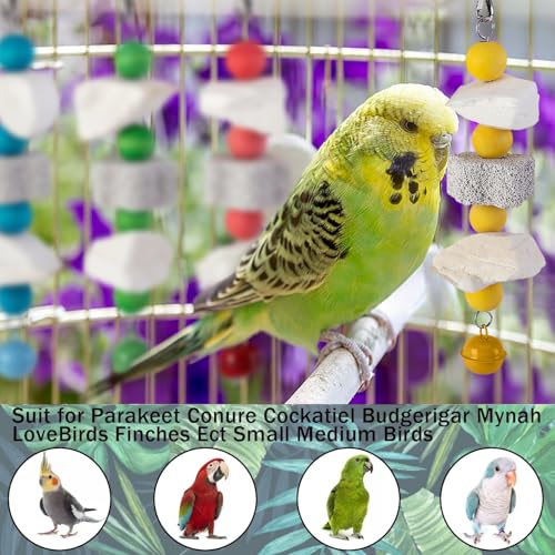 4 Pack Parrot Chewing Toy, Bird Beak Grinding Stone with Bell, Parrot Beak Trimmer Calcium Stone,Bird Cage Accessories for Cockatiels Parakeets Parrot Budgies Rat Hamster Chinchilla Rabbit Bunny