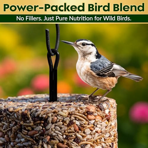 Bugs, Nuts & Berries Bird Seed Cylinders with Hole, Mealworms, 4" x 7.75" | Protein Rich Wild Bird Food with Mealworms, Cylinder Bird Seed, Attracts a Variety of Wild Birds, No Filler, USA Made, 1.5lbs - size: 1-Small