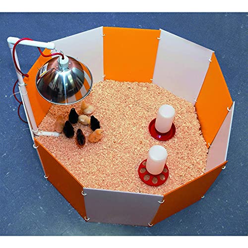 Farm Innovators 3700 Baby Chick Corral Starter Home Coop Kit with 10 Plastic Panels and Adjustable Brooder Lamp Hanger for Up to 15 Chicks (2 Pack)