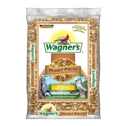 Wagner’s 57055 Shelled Peanut Pieces for Wild Birds, 10 Pound Bag