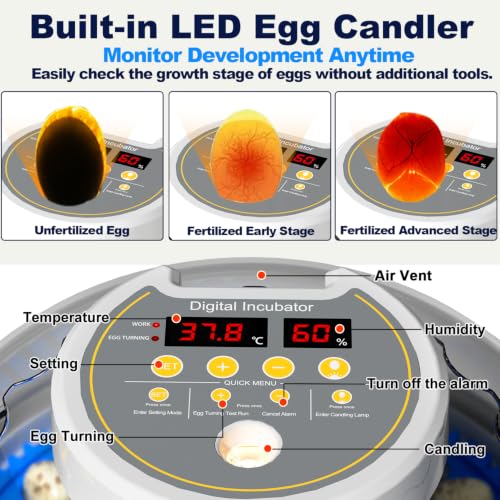 32 Quail Egg Incubator for Hatching Eggs, Dual Power Supply, Automatic Egg Turner, Humidity & Temperature Monitor, Egg Candler, External Water Filling, Bird Egg Incubator for Quail Dove