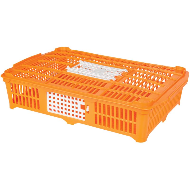Premier 1 Quail Transport Crate - 26" L x 16" W x 5" H (2 Pack) | For field-trials & farm use. Up to 30 quail or newborn chicks. Top & side doors. Pre-assembled, stackable. Solid floor. - size: 2 Pack