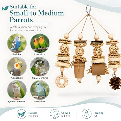Parakeet Foraging Toy with Loofah & Pine Cone, Bird Chew Toy | For Budgies, Cockatiels, Conures and Quaker Parrots | Multiple Textures for Pecking, Shredding and Active Cage Play