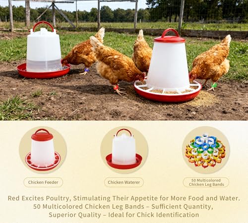 61pcs Novice Home Chicken Farming Set, 2 Pieces Nesting Boxes for Chickens, Coop Scoop for Sand, Chick Feeder and Waterer Set, 6pcs Wooden Eggs for Chicken Coop, 50Pieces Chicken Leg Bands Multicolor