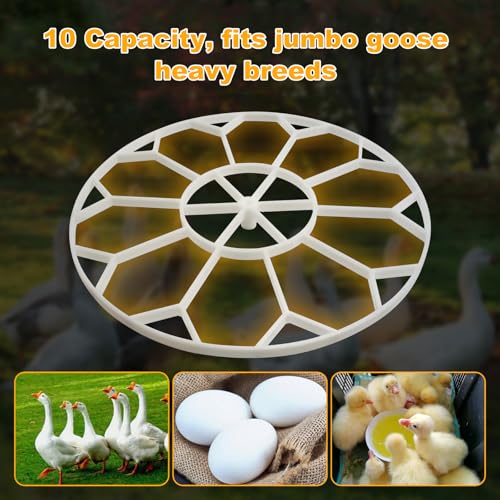 10 Egg Capacity Jumbo Goose Heavy Breeds Tray Compatible with Nurture Right 360 Incubator Turner, White JGT360