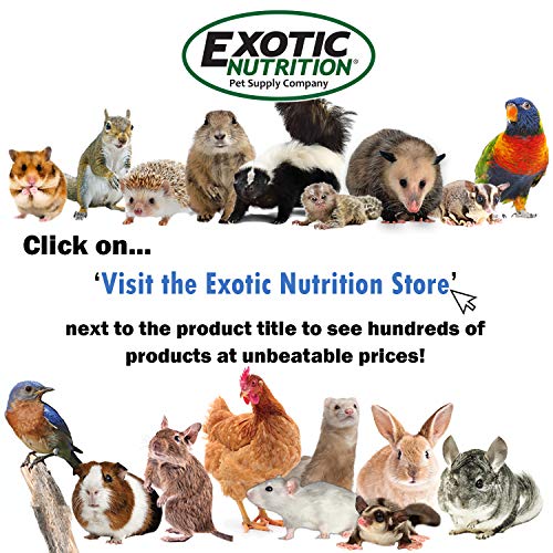 Exotic Nutrition All-Natural Nesting Material (1.5 oz.) - 100% Cotton Eco-Friendly Animal Bedding - for Sugar Gliders, Squirrels, Hamsters, Rabbits, Wild Birds & Wildlife - size: 1.5 oz.