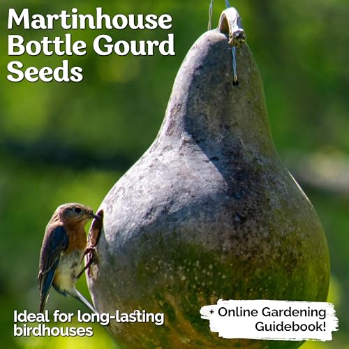 10 Purple Martin Bird House Gourd Seeds for Planting (Lagenaria Siceraria) – Bottle Gourd, Calabash, Lauki, Opo, Heirloom Vegetable Garden Seeds – Gourds for Crafts, Martin Houses for Outdoors