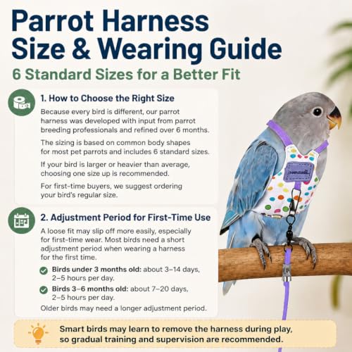 Bird Harness Leash Set Adjustable Vest Anti-Lost Wrist Strap for Parakeet Cockatiel Conure Lovebird (Green, Quaker Parrot/Golden Sun Conure/Indian Ringneck Parakeet 12 * 7cm/6g) - color: Green