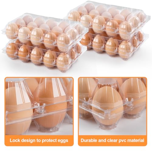 55 Pack Egg Cartons Cheap Bulk,Plastic Egg Carton 3x5 Grids | 15 Count Clear Egg Cartons, Reusable Egg Holder Egg Trays for Family, Chicken Farm, Markets Display - Medium Egg Container - size: 3X5-55PCS