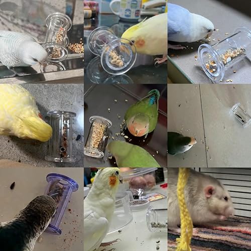 Bird Foraging Toys with Feeder Ball, Durable Plastic Parrot Training Puzzle & Interactive Treat Dispenser for Cockatiels, Conures, Parakeets, Budgies(Pack 3) - color: green