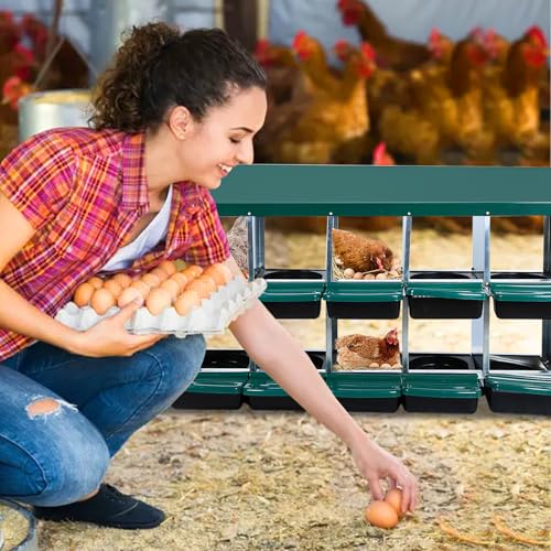 Chicken Nesting Box，Green 10 Hole Chicken Laying Box, Tray for Easy Egg Collection, Large Holes for Ventilation, Suitable for Chickens & Ducks - color: Green, size: 10 Holes