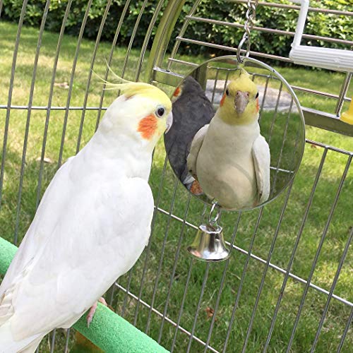 Hypeety Bird Mirror Toy with Bells Cage Hanging Mirror for Parakeets | Clear acrylic mirror with 1 bell, with protective film, easy to hang, fun swing toy, for parakeets/cockatiels/finches/conure