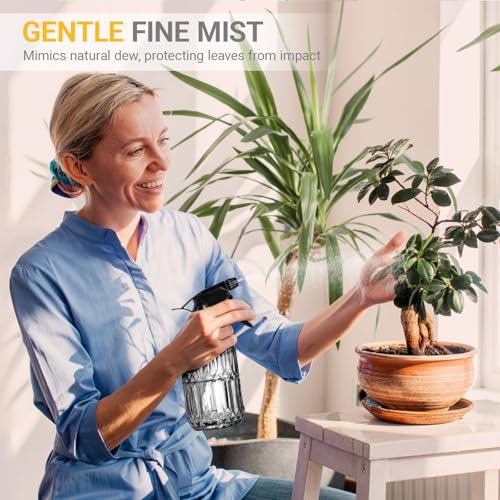 Plant Mister Spray Bottle, 13.5 oz Leak Proof Glass Spray Bottle for Inside Plants, Succulents, Herbs, Cleaning, Hair Care, Refillable Fine Mist Sprayer with Adjustable Mist Nozzle (Grey) - color: Grey