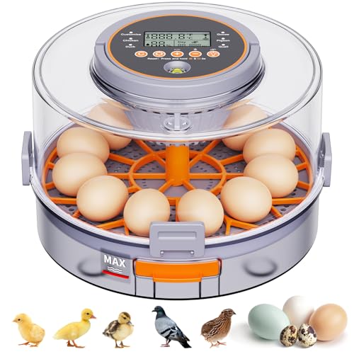 12 Egg Incubators for Hatching Eggs for Home, Classroom and Lab | Incubator for Chicken Eggs,Duck,Goose,Quail,Snake,Egg Incubator with Automatic Egg Turning and Humidity Control - color: gray+Orange