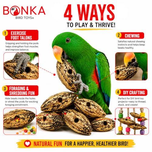 Bonka Bird Toys 3410 Drilled Mahogany Pods Shreddable Foraging Bird Toy with Natural Materials Hanging Cage Toy 9" for Small to Medium Parrots Budgie Cockatiel Conure Chewing Enrichment (Pack of 12) - size: Pack of 12