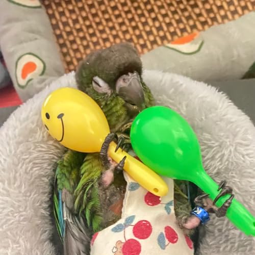 Parrot Toys Bird Foot Toys with Rattles for Small Birds 15 Pack | Parrot foot toys with rattles for conures, cockatiels, parakeets, lovebirds and other small to medium birds. Colors may vary.