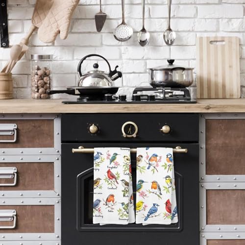 Bird Gifts Kitchen Towels, Birds Gifts for Lovers Women, Birds Birder Dish Towels for Kitchen,Bird Decorative Hand Towels for Bathroom Dish Cloths & Dish Towels - color: Color-13