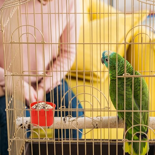 40 Pcs Cage Cups Birds Feeders Bird Water Dispenser Hanging Quail Waterer Plastic Chicken Feeding Watering Dish for Small Coop Parrot Parakeet PET Poultry Pigeon Gamefowl Food Seed Bowl Supplies(Red) - color: 8oz-Red