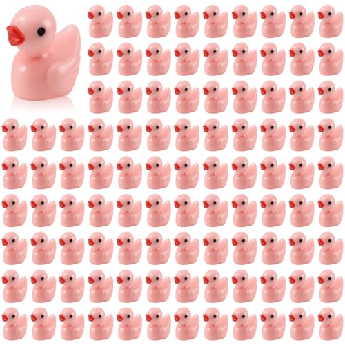 100 Pcs Mini Resin Ducks Tiny Ducks Miniature Duckies Bulk Figures for Garden Micro Landscape Home Prank Game Micro Landscape Aquarium Dollhouse Ornament DIY Handmade School (Pink) - color: Pink