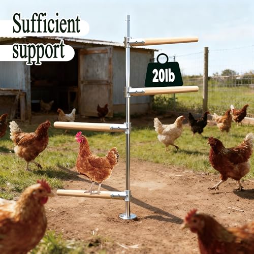 4 pcs Chicken Roosting Bars Single Wooden Pole, Chicken Supplies For Coop,Chicken Coop Simple Accessories,Angle-Adjustable Chicken Coop Toys,Birds Training Platform For Cockatiels Lovebirds And Parrot