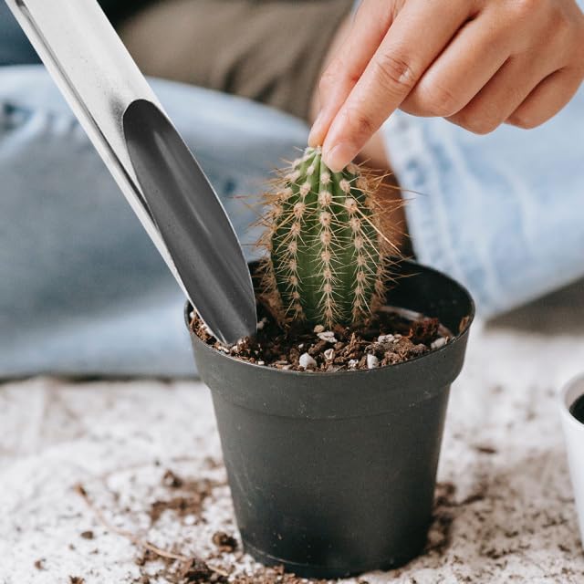 BESPORTBLE Bonsai Soil Scoop: Stainless Steel Soil Scoop Bonsai, Potting Trowel, Succulent Transplanting Garden Scooper for Indoor Plants, Narrow Deep Mouth Hand Tool