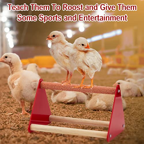 Patelai 4 Pcs Chick Feeder and Waterer Kit Feeding Supplies with Mini Perch Chicken Starter Kit for Coop and Brooder for Small Poultry Ducks Quail
