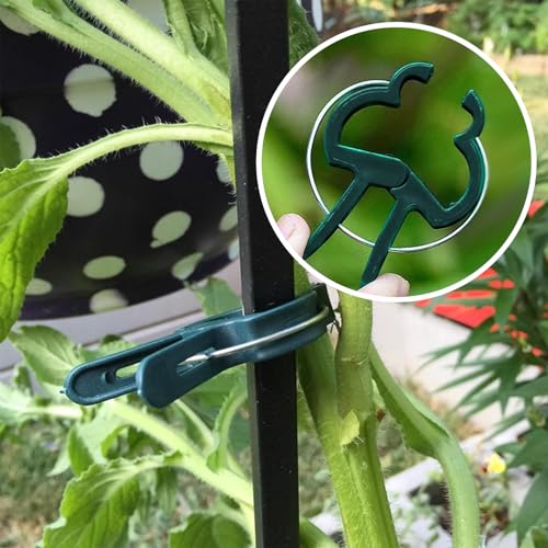 Plant Clips for Climbing Plants, Garden Support for Tomatoes & Vine - size: 60 Small
