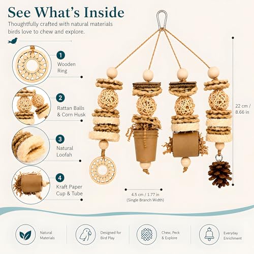 Parakeet Foraging Toy with Loofah & Pine Cone, Bird Chew Toy | For Budgies, Cockatiels, Conures and Quaker Parrots | Multiple Textures for Pecking, Shredding and Active Cage Play